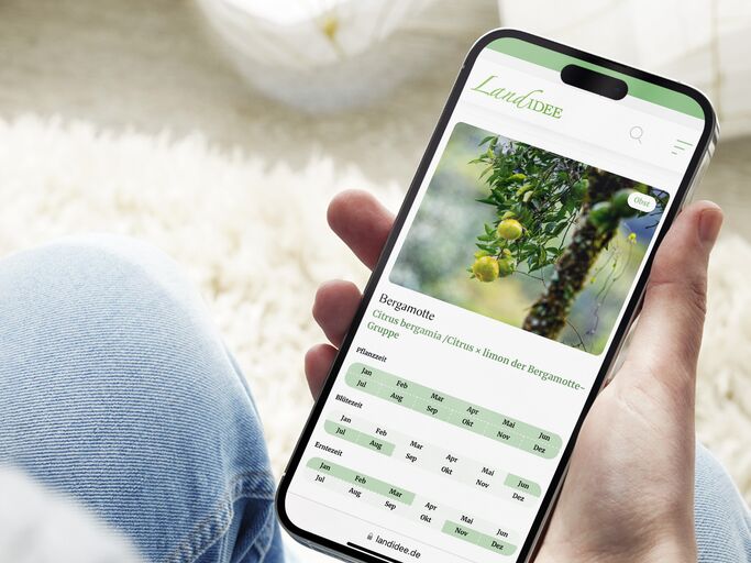 Landidee.de ist auf dem Smartphone zu sehen