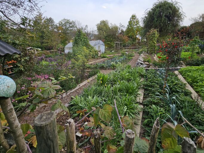 Ein Naturgarten mit vielen Gemüsebeeten, Folientunnel und Gartenhütte.