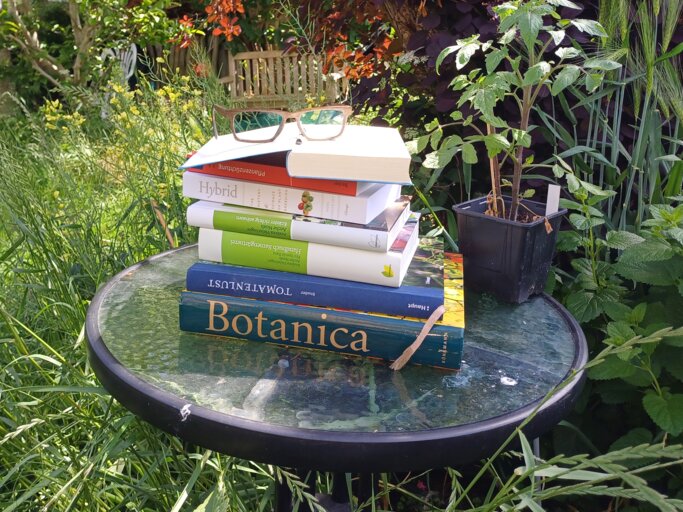 Eine Holzbrille auf einem Stapel Bücher neben einer Tomatenpflanze und auf einem Glastisch inmitten einer wilden Wiese.