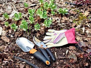 Benutztes Gartenwerkzeug im Herbst und Winter.