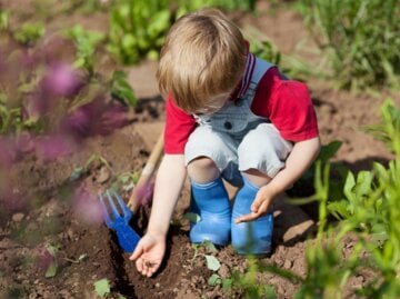 Ein Junge mit blonden Haaren und blauen Gummistiefeln kniet im Garten und legt vorsichtig Samen in die Erde.