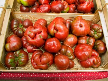 Mehrere unregelmäßig geformte rote Tomaten in einer Holzkiste auf Strohbett, auf einem rot gepunkteten Tuch.