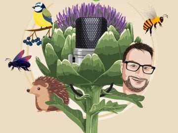 Bunt illustrierte Naturmotive mit Mikrofon in Artischocke, Igel, Insekten und lächelndem Mann